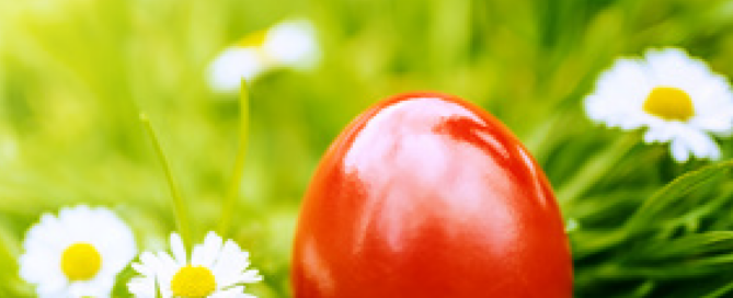 Ei Ei Ei…frohe Ostern!