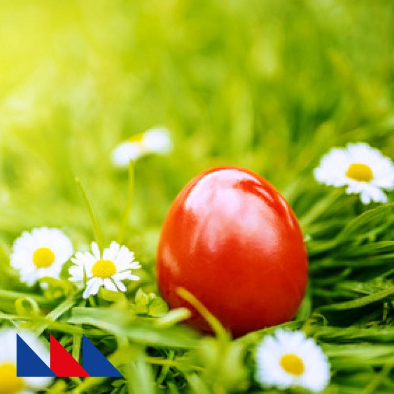 Ei Ei Ei…frohe Ostern!