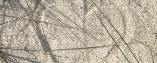 Wir wünschen Ihnen einen schönen Sommer!