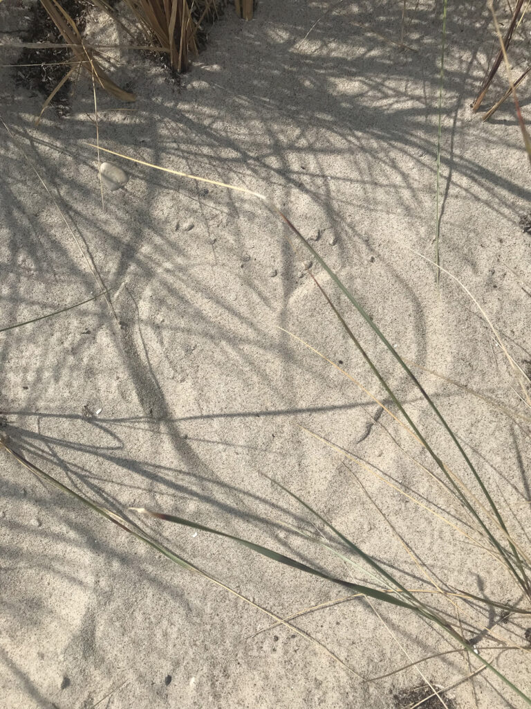 Wir wünschen Ihnen einen schönen Sommer!